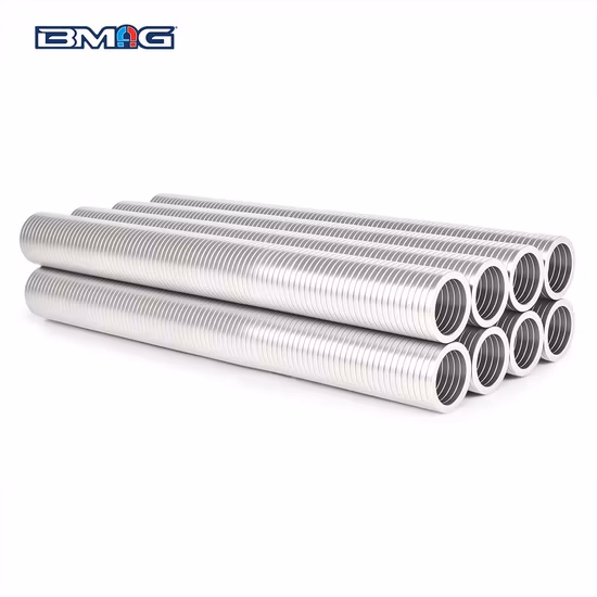 Magneti NdFeB legati al neodimio con compressione ad anello personalizzati